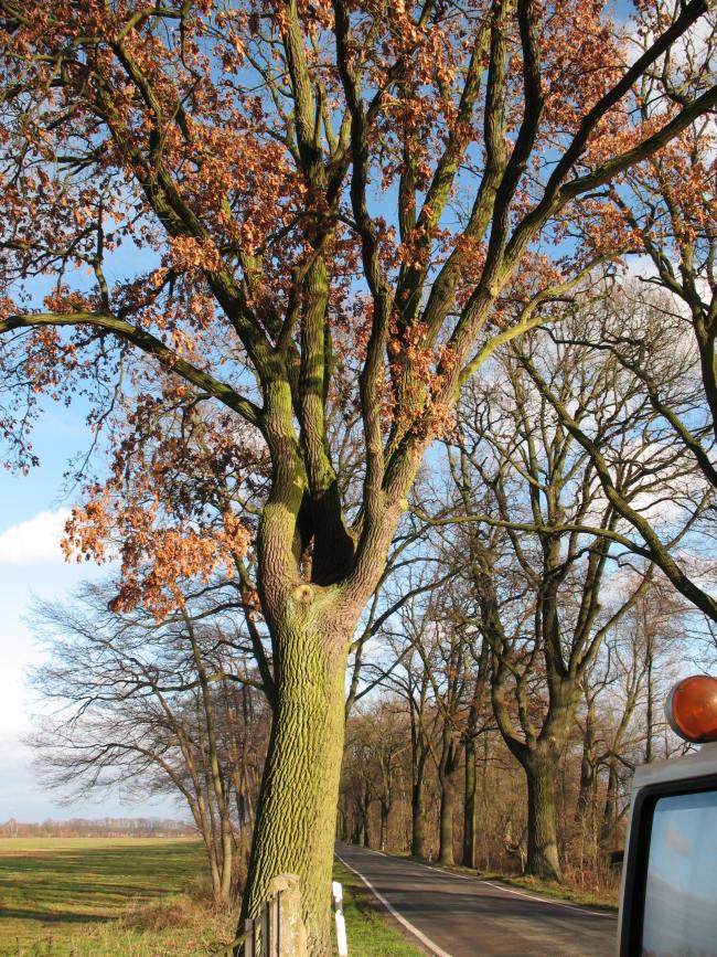 20071124_Fahrt_Havelberg07