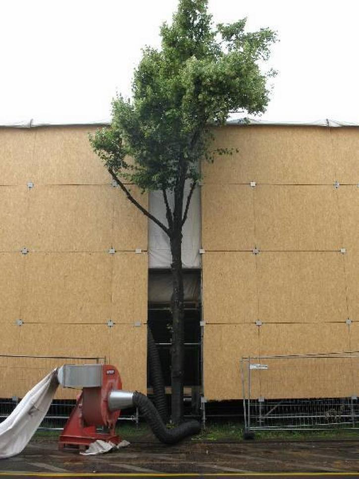 20090619_Sch�nhauserU2Bau01