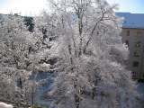 20090216_WisbySchnee03